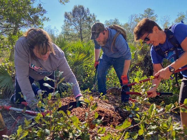 UCF Arboretum and SORBA-Orlando start building mountain bike trails